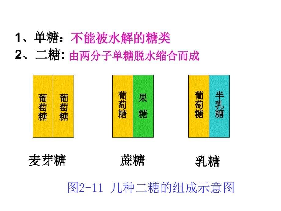 细胞中的糖类和脂质公开课说课材料_第5页