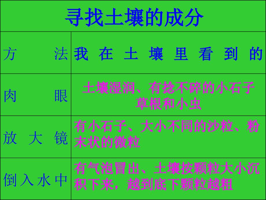 《土壤中有什么》讲解学习_第2页