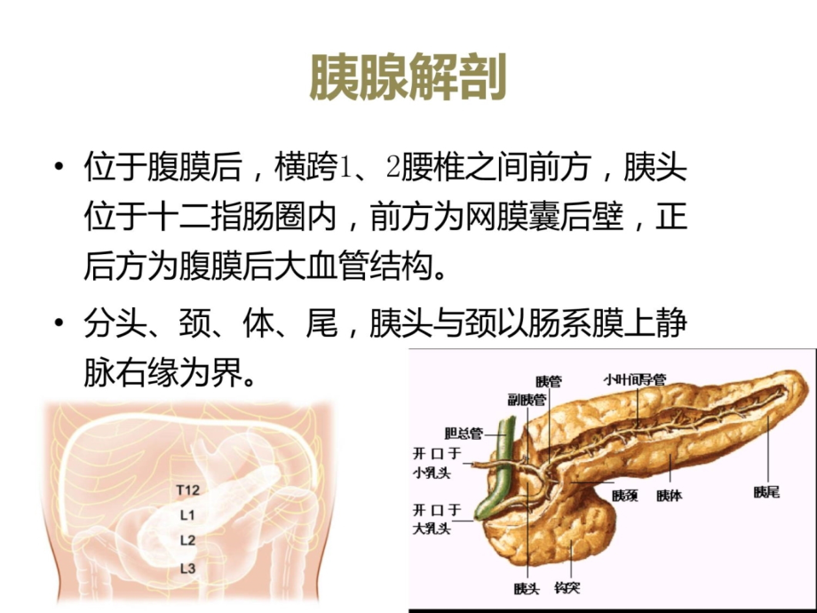 胰腺炎的影像诊断知识讲稿_第3页