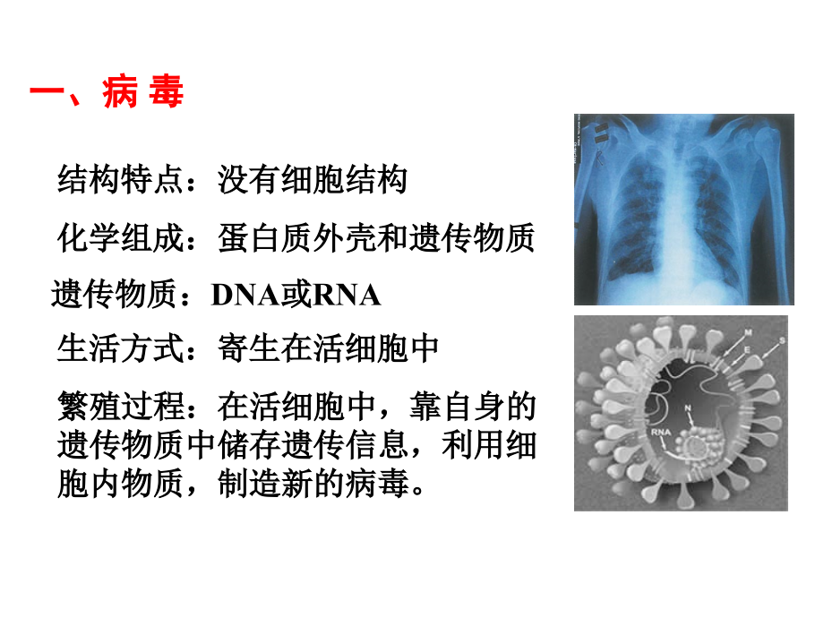 高中三年级生物第一轮复习_必修一全套课件_(2)_第2页