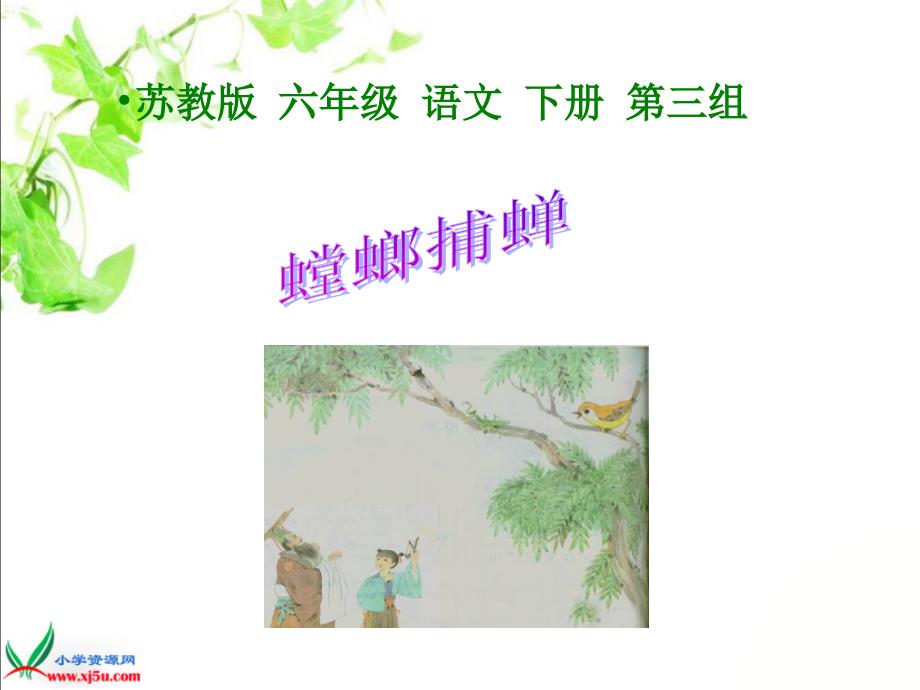 10《螳螂捕蝉》课件(13)备课讲稿_第1页