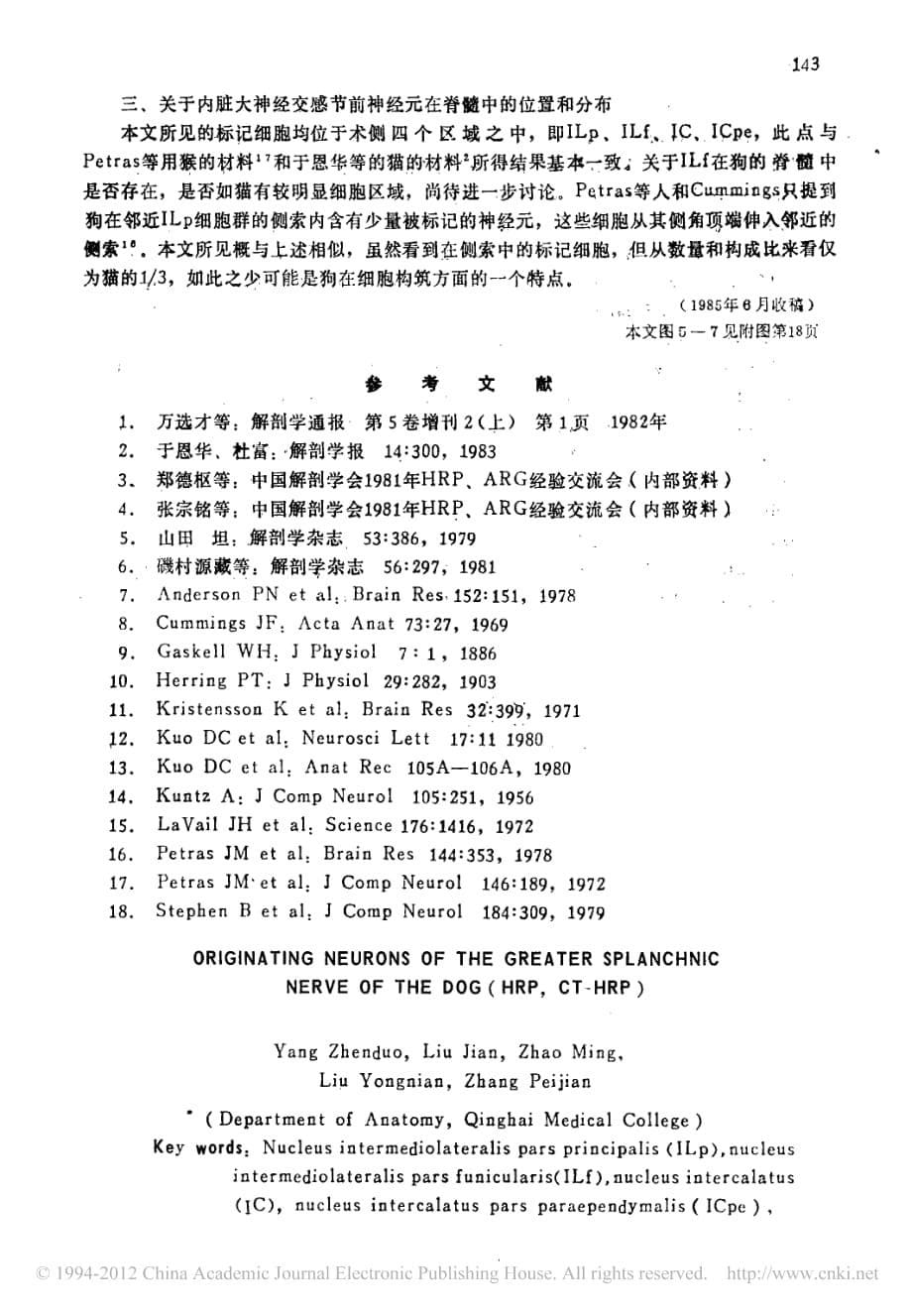 狗内脏大神经起始神经元的研究_HRP及CT_HRP法研究_第5页