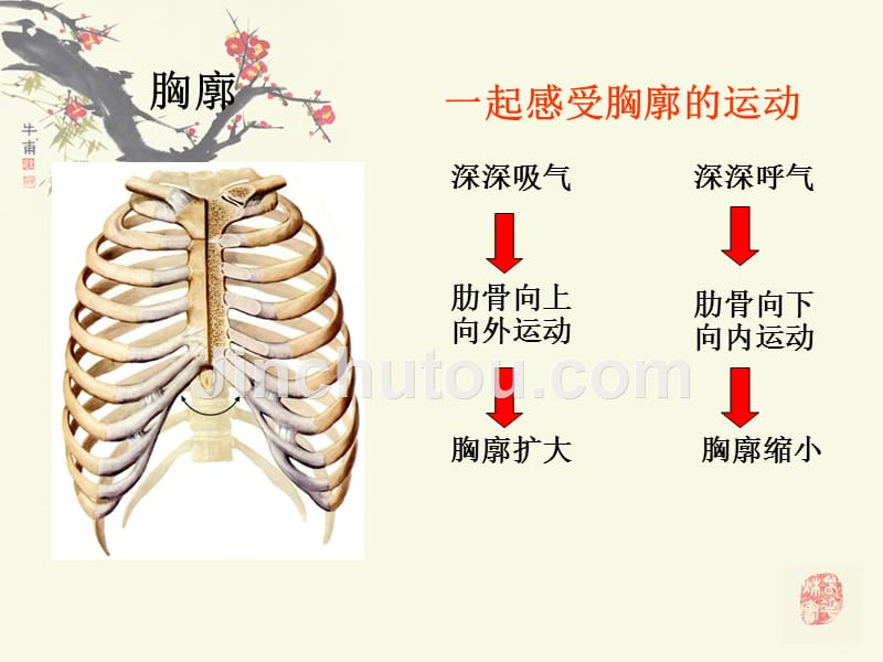 发生在肺内的气体交换肖鹏知识讲解_第4页