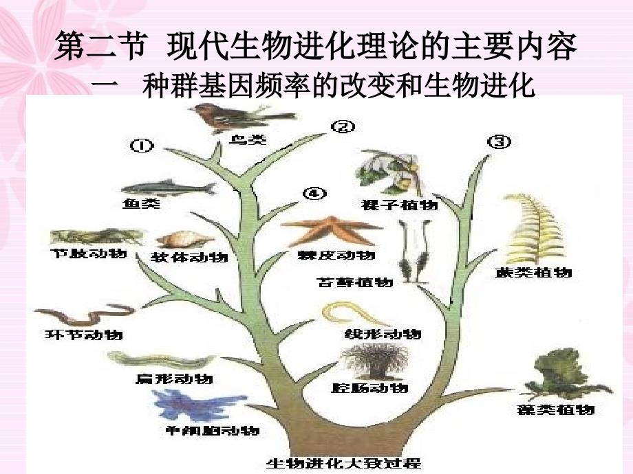 现代生物进化理论的主要内容(公开课)_第1页