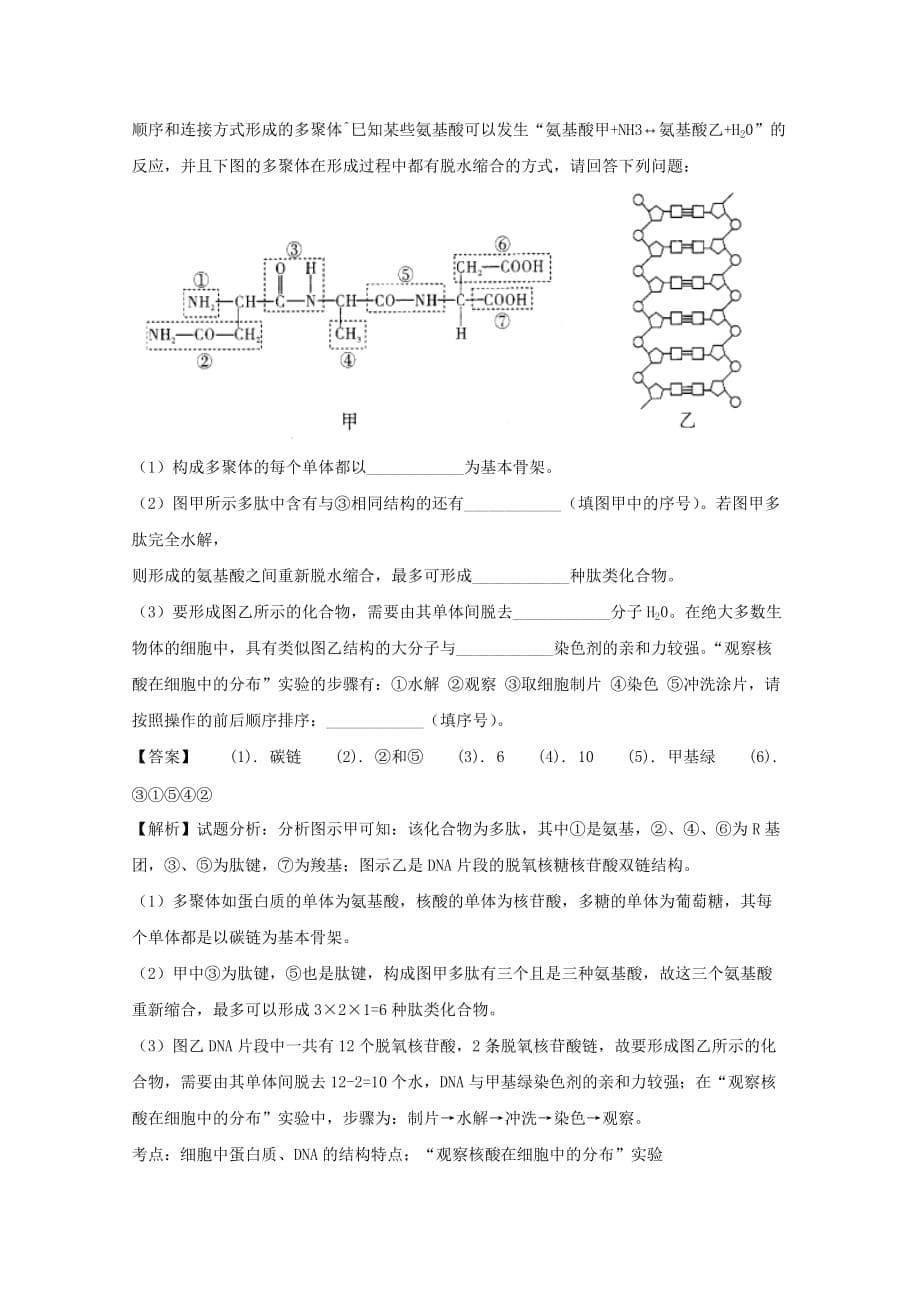 重庆市巴蜀中学2018年高三高考适应性月考(二)理综生物试题含解析_第5页