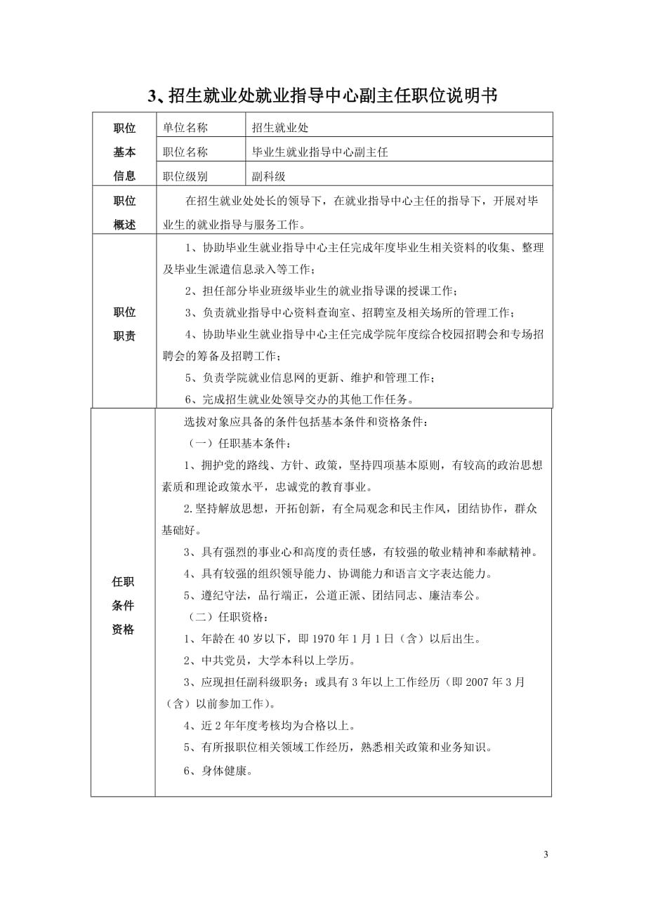 （信息技术）信息技术系办公室主任职位说明书_第3页