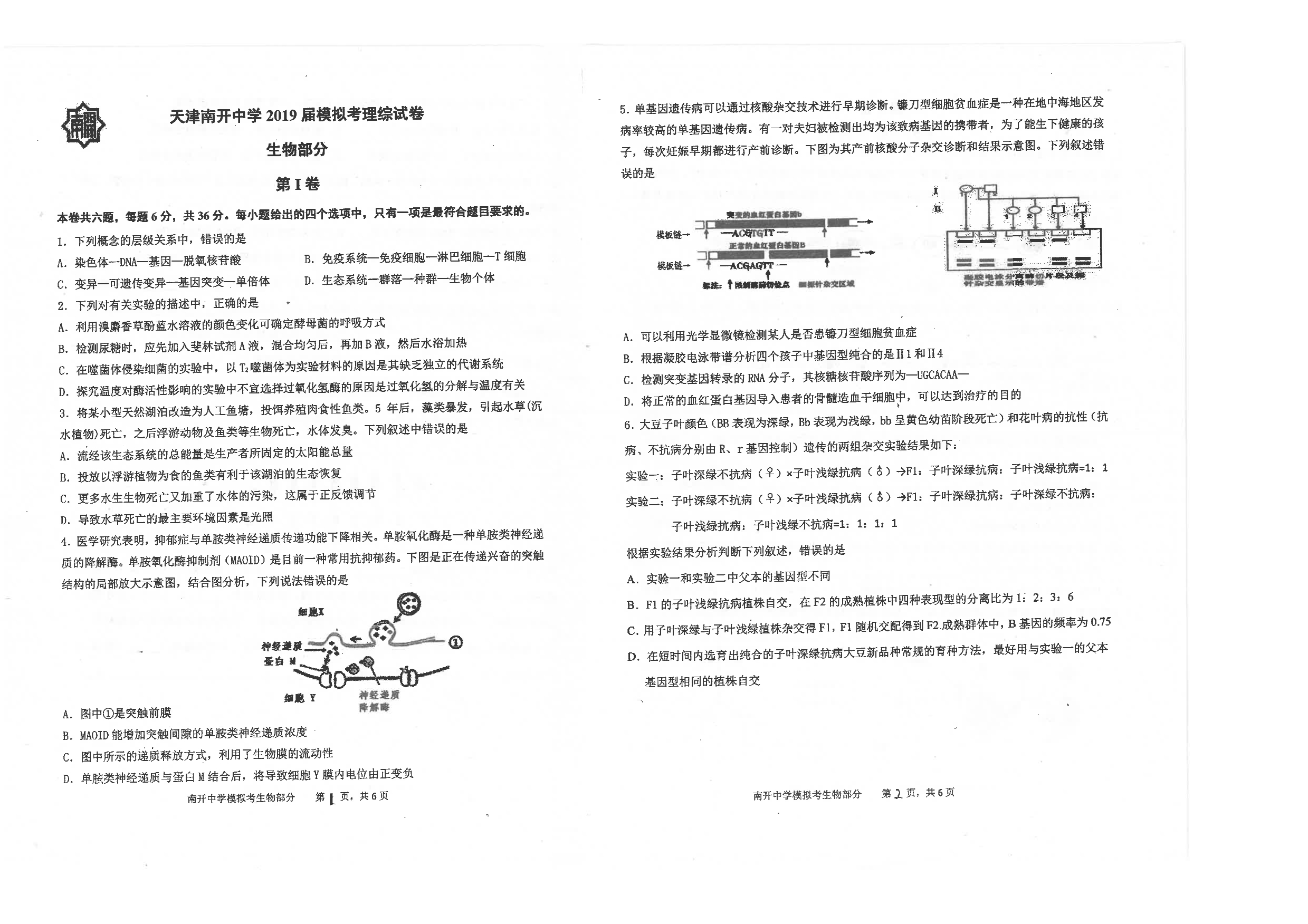 天津2019届高三模拟考生物试题 PDF版含答案_第1页