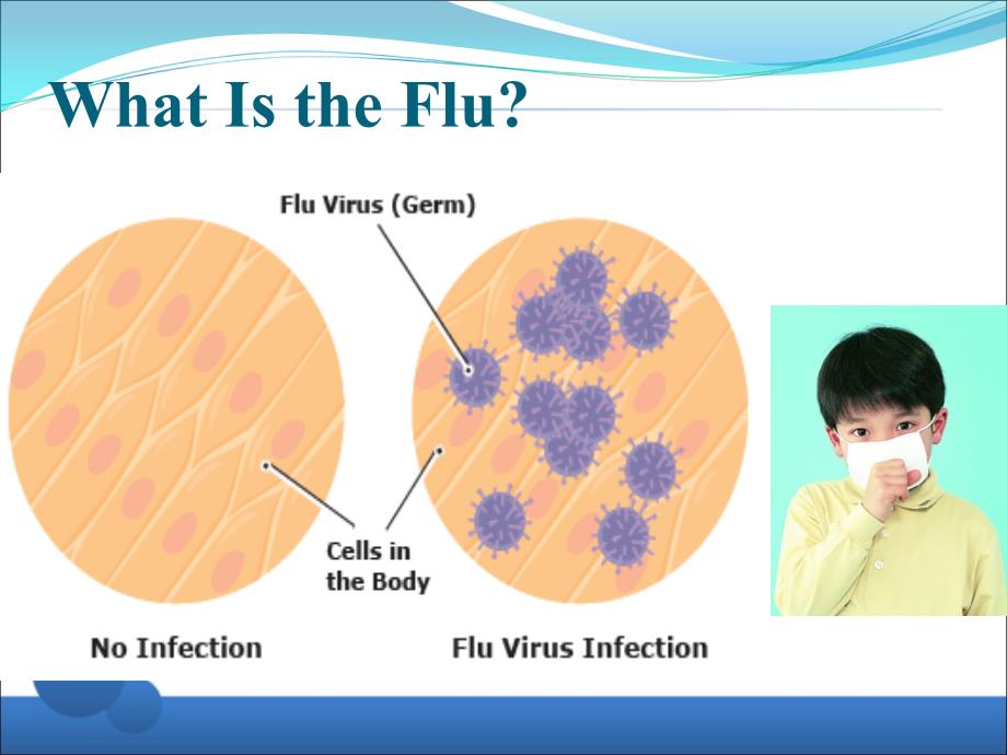 预防流感PPT_第4页