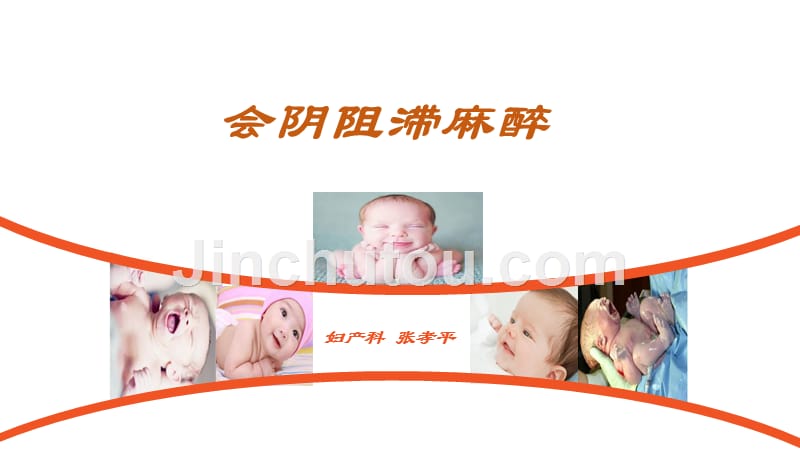 课件会阴阻滞麻醉课件.ppt_第1页