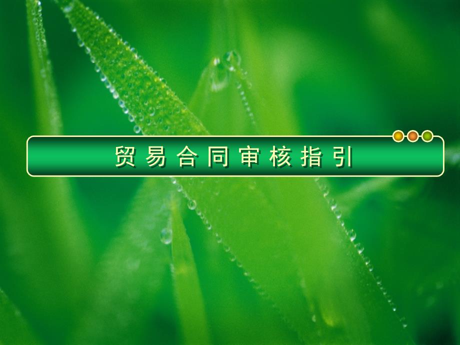 贸易合同审核指引.ppt_第1页