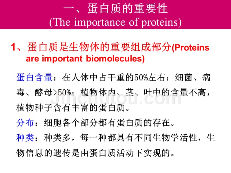 蛋白质-教学课件_第3页