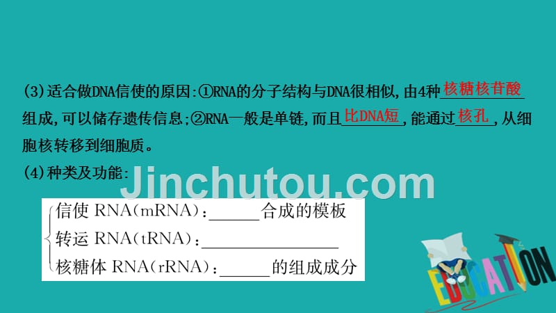 2021届高考生物人教通用一轮复习方略课件：6.3 基因的表达_第5页