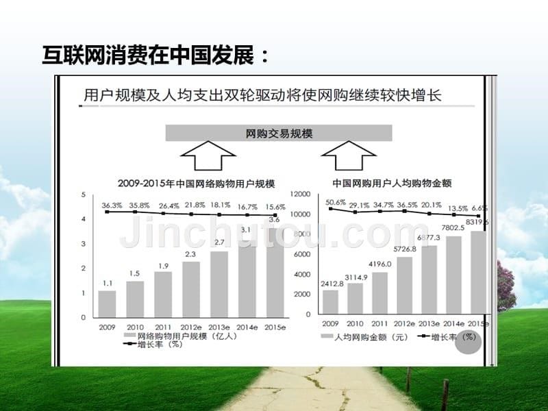 网购消费趋势分析.ppt_第5页