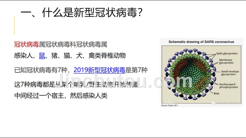 新冠疫情防控知识手册_第3页