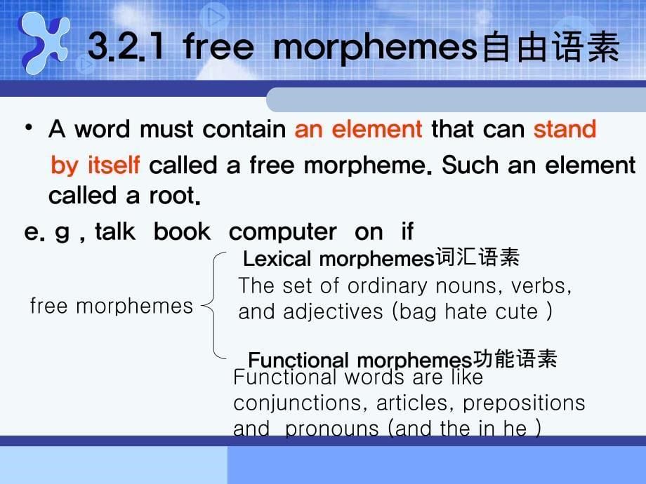 Morphology(形态学)_第5页