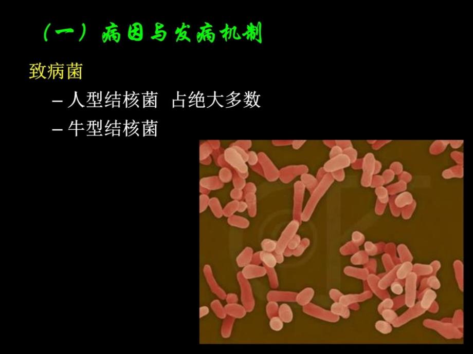 第六节--肠结核及结核性腹膜炎病人的护理知识讲稿_第3页