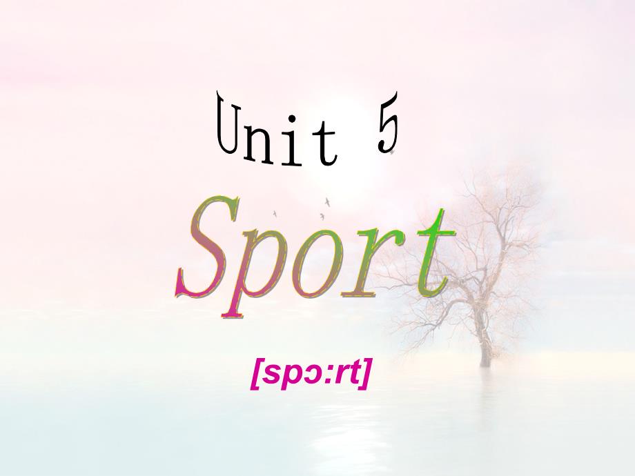 Unit 5 Sport四年级英语下册上海出版社_第1页