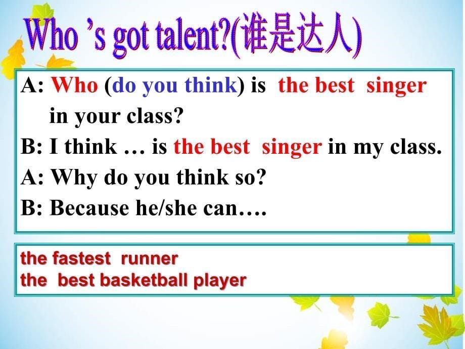 who’s-got-talent-优质课教案资料_第5页