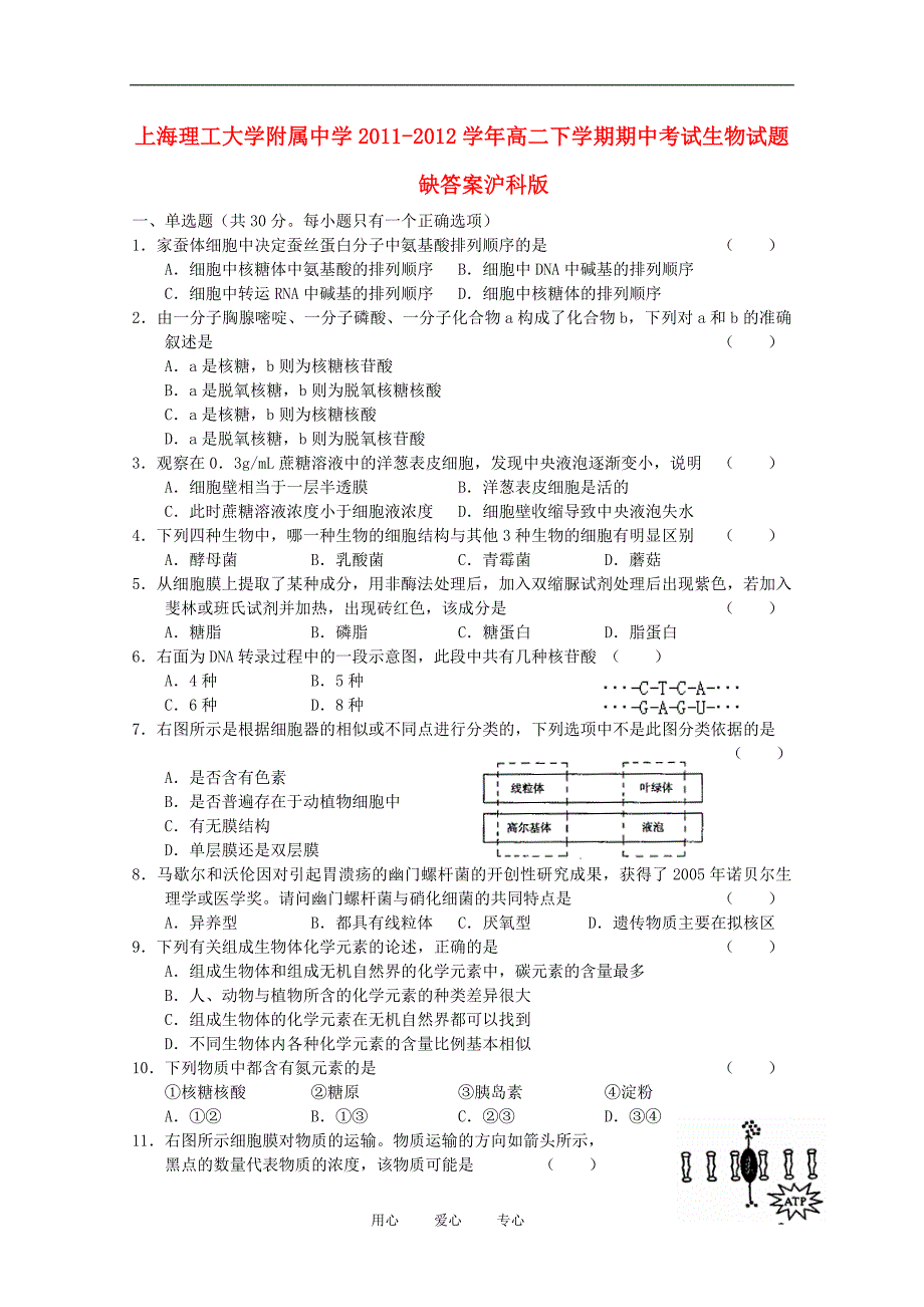 高二生物期中考试沪科.doc_第1页