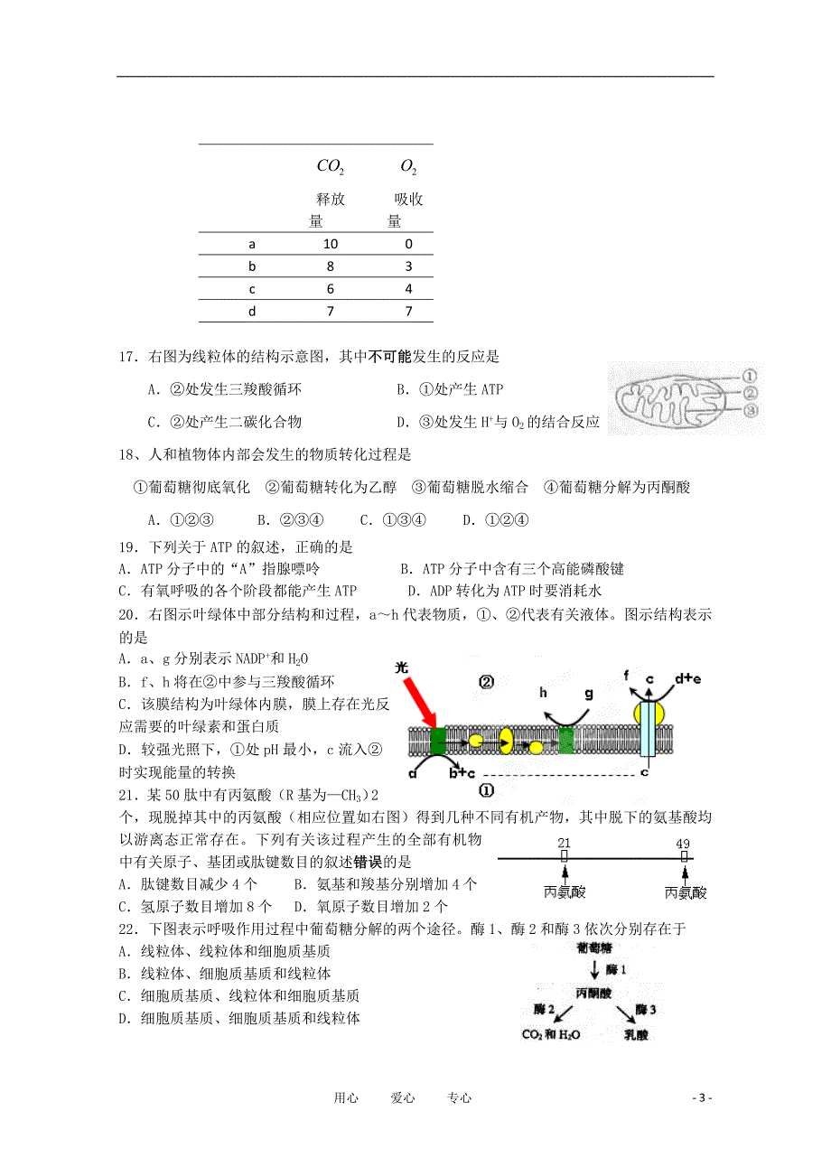 高二生物期中考试沪科.doc_第3页