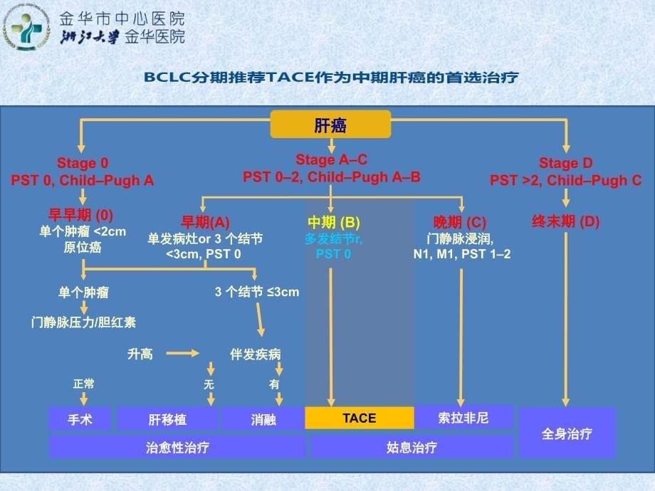 肝癌综合介入治疗进展讲课资料_第5页