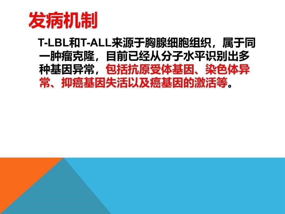 T淋巴母细胞白血病培训课件_第5页