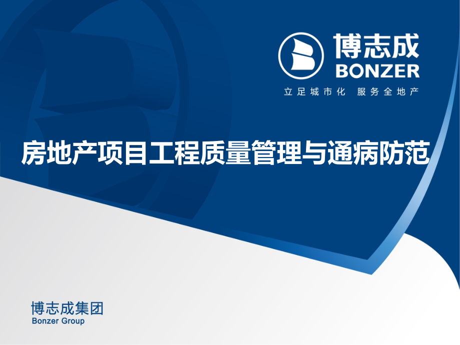 房地产项目工程质量管理与通病防范教学内容_第1页