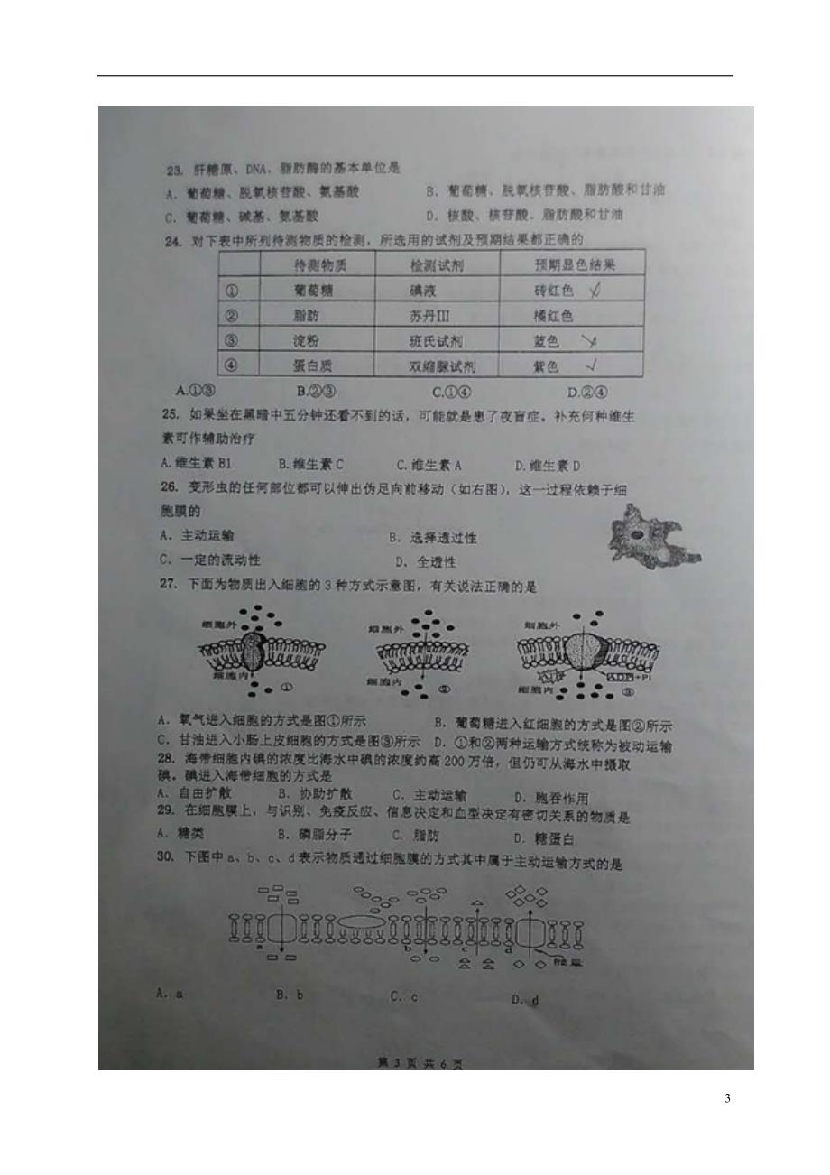 上海莘庄中学高一生物期中.doc_第3页