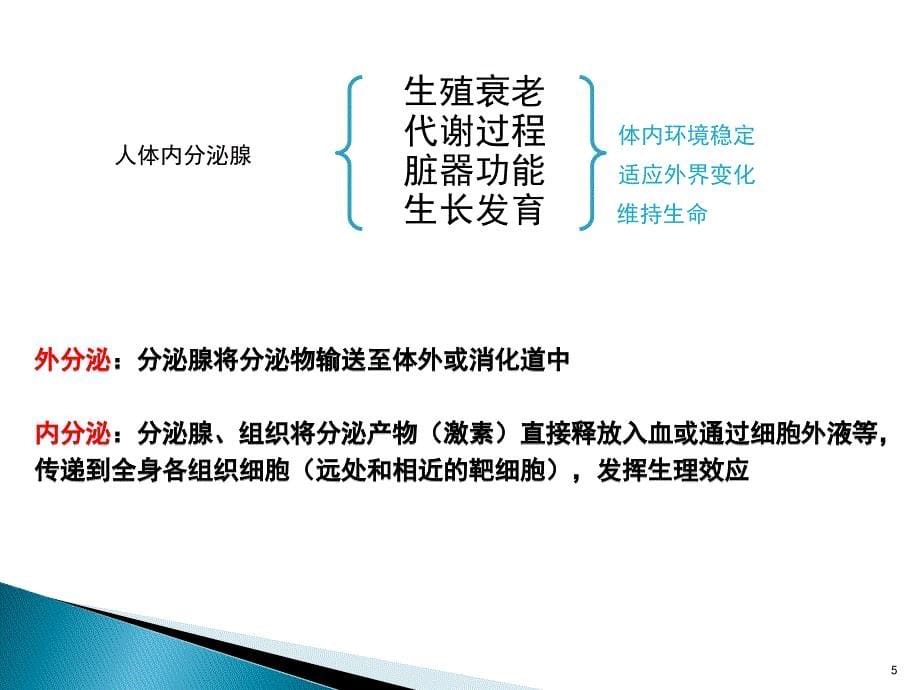 内分泌和代谢疾病总论PPT参考课件_第5页