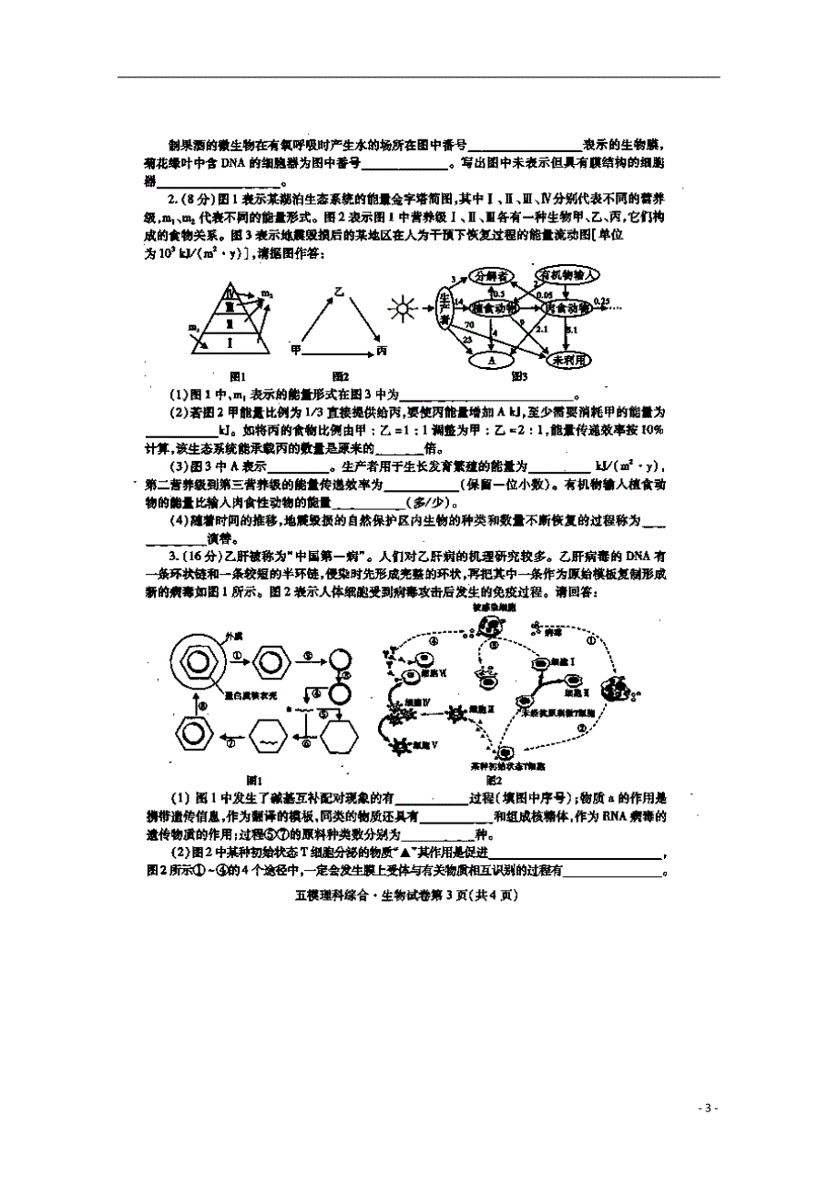 四川内江高三生物第五次模试考试.doc_第3页