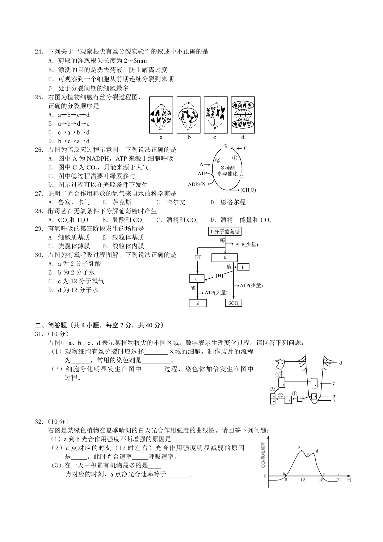 重庆中山外国语学校高一生物期末最后一卷PDF 1.pdf_第3页