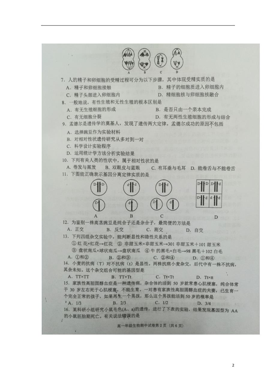 江苏徐州高一生物期中2.doc_第2页