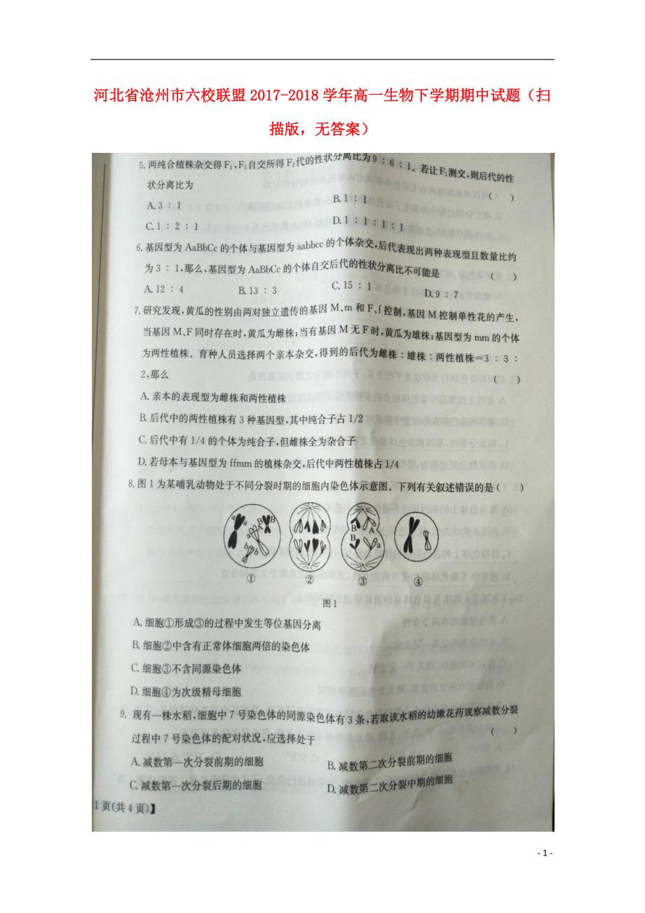 河北沧州六校联盟高一生物期中.doc_第1页