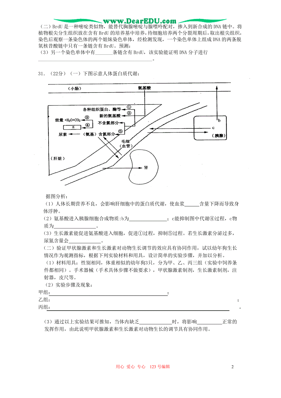 全国普通高等学校招生统一考试理综生物部分模拟考四.doc_第2页