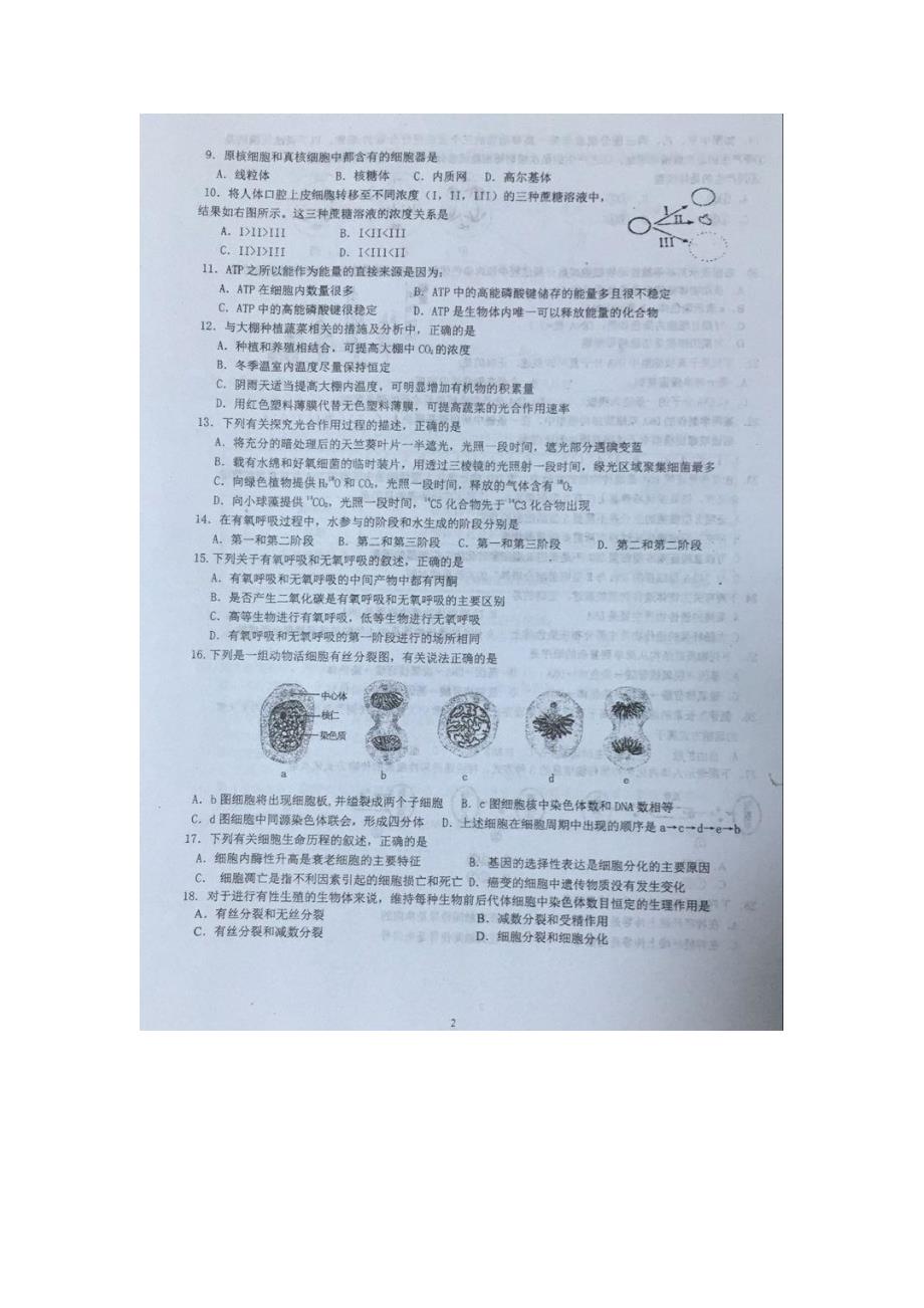 江苏高二生物阶段测试二必修2.doc_第2页