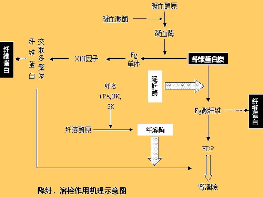 凝血功能检测PPT参考课件_第4页