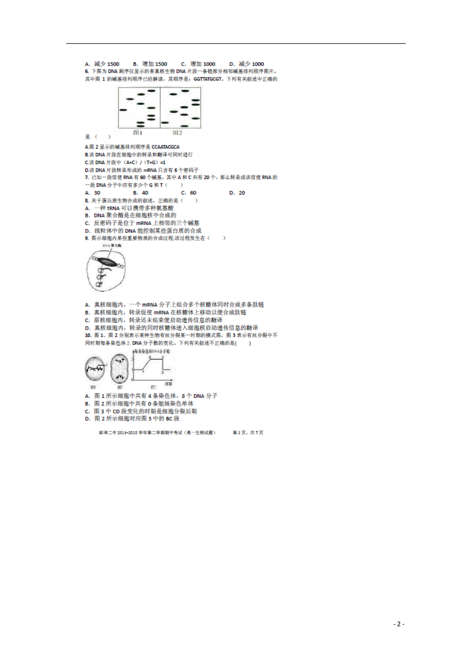 安徽高一生物第二学期期中.doc_第2页