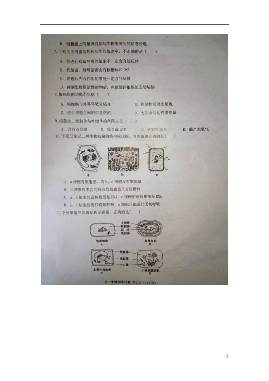 广东茂名电白区高一生物期末考试.doc_第2页