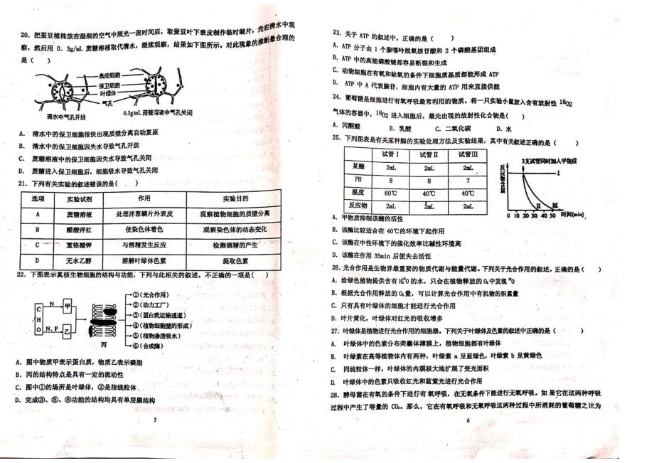 山东高一生物收心开学考试PDF.pdf_第3页