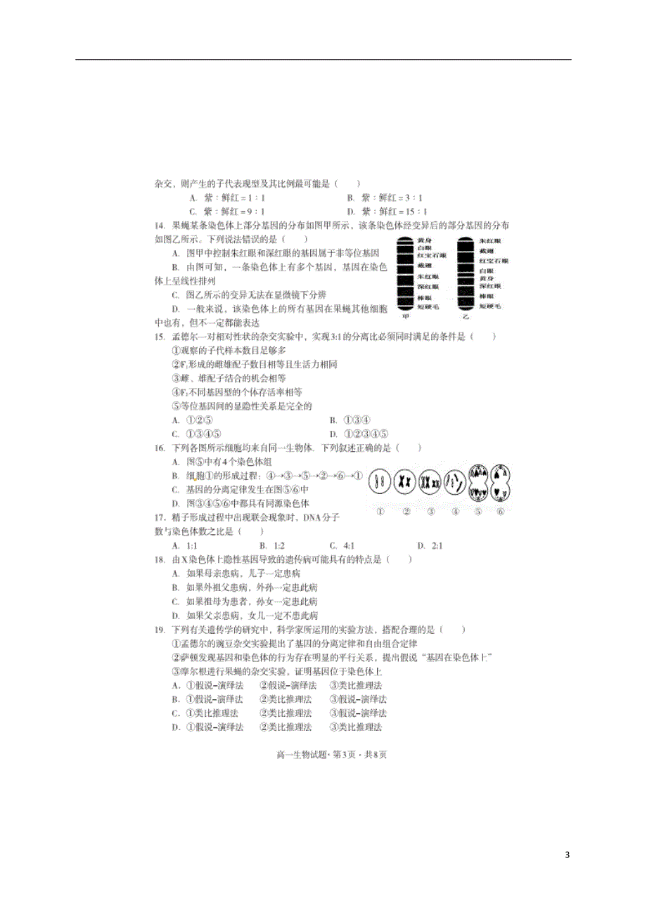 四川巴中高一生物期末段学情检测2.doc_第3页