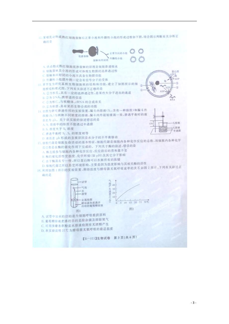 安徽示范高中教育高三生物第二次联考.doc_第3页