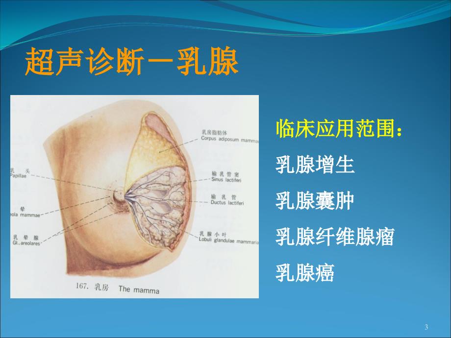 浅表器官的超声诊断PPT幻灯片_第3页