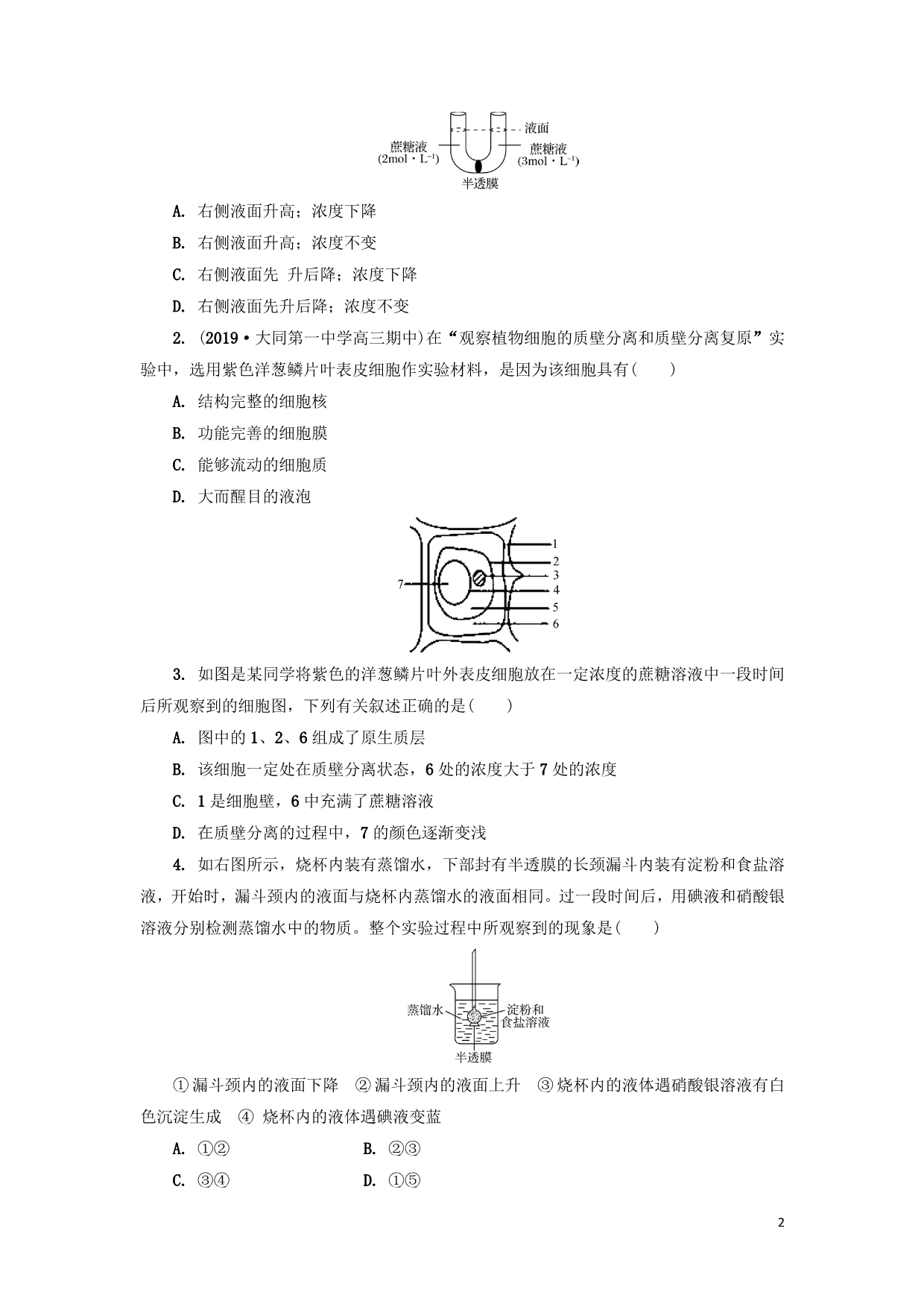 江苏高中生物暑假作业第十三天物质跨膜运输.doc_第2页