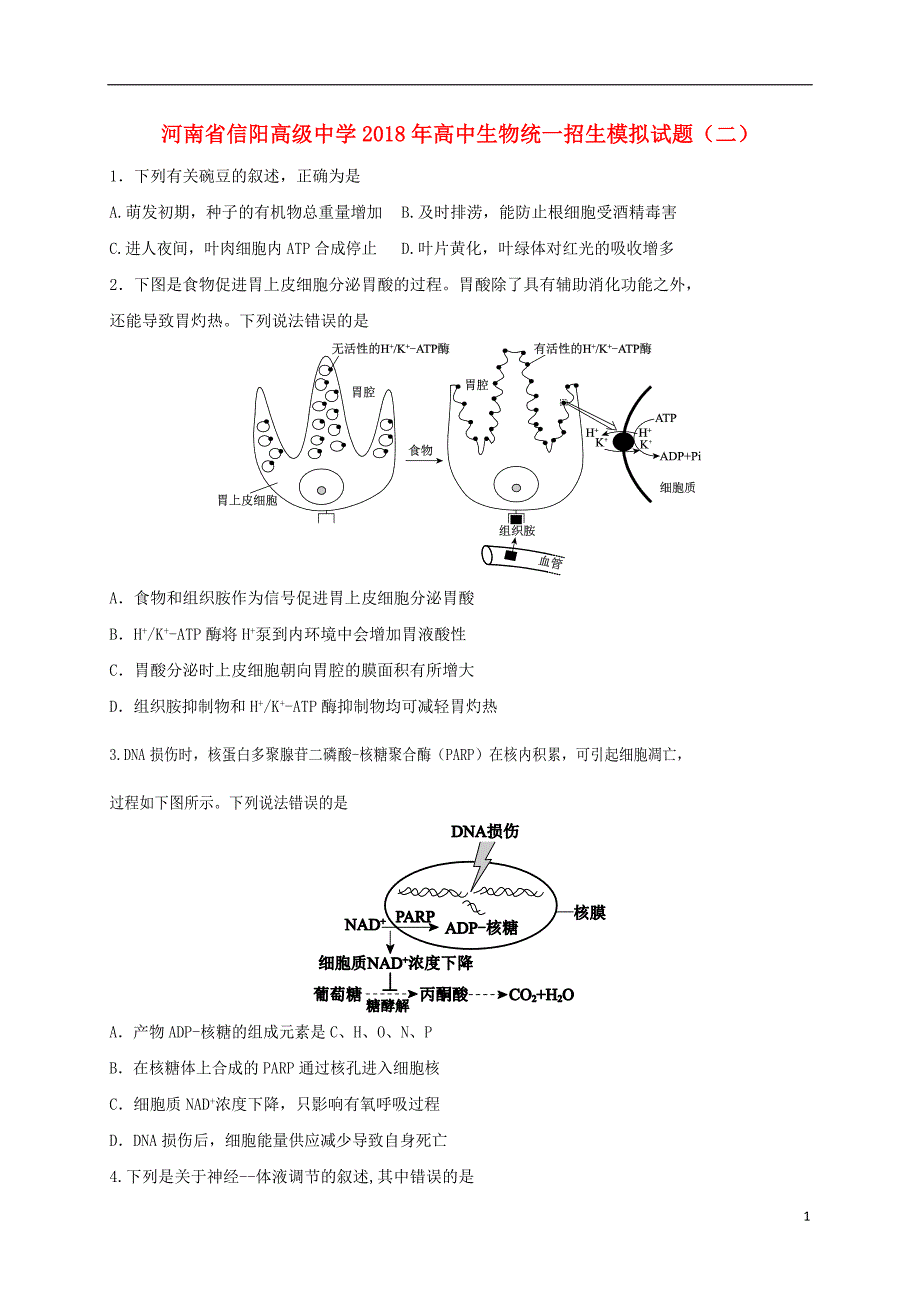 河南高中生物统一招生模拟二.doc_第1页