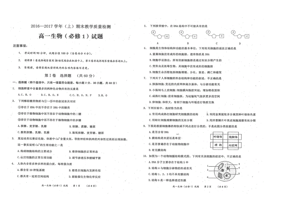 陕西澄城寺前中学高一生物期末考试PDF.pdf_第1页