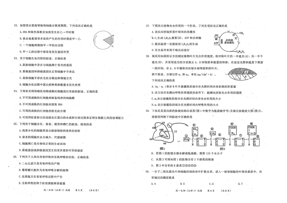 陕西澄城寺前中学高一生物期末考试PDF.pdf_第3页