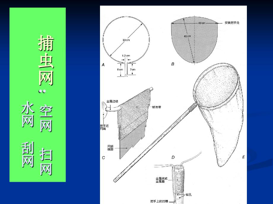 昆虫标本的采集与制作ppt课件_第4页