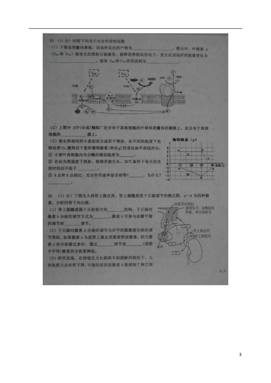 山东高三生物第三次模拟考试1.doc_第3页