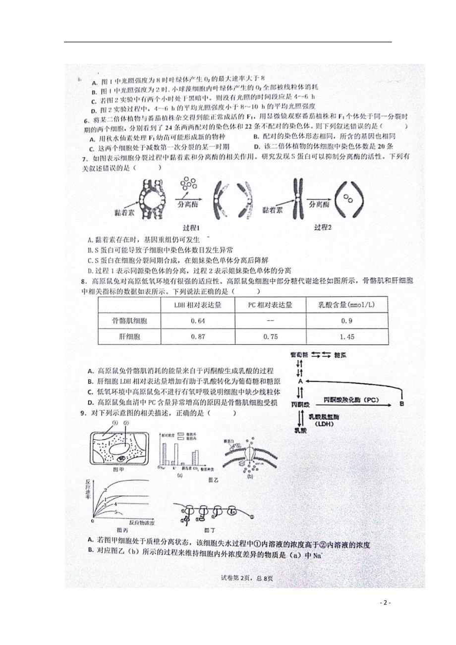 江西抚州高二生物期末考试1.doc_第2页