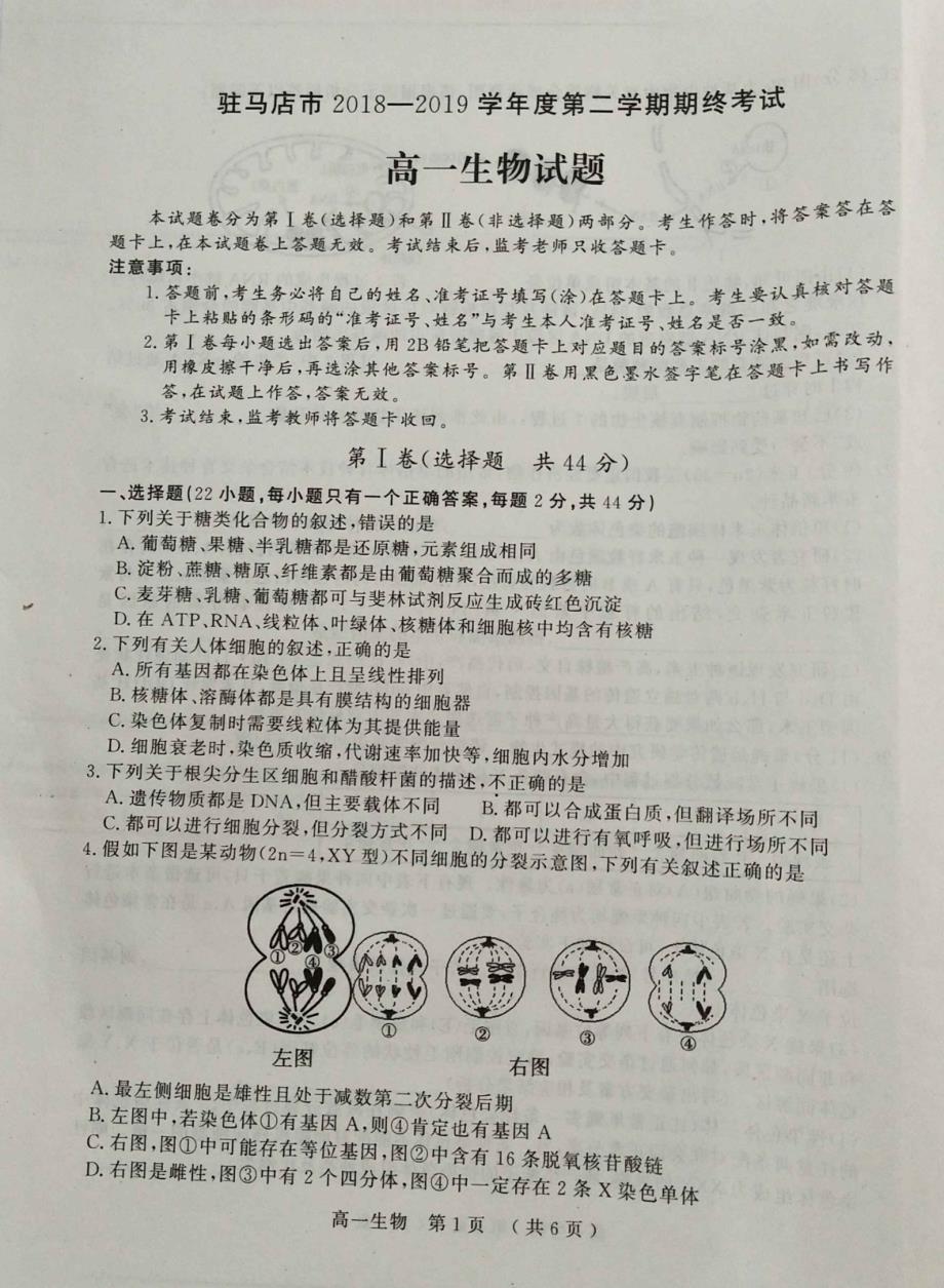 河南驻马店高一生物期末考试PDF 1.pdf_第1页